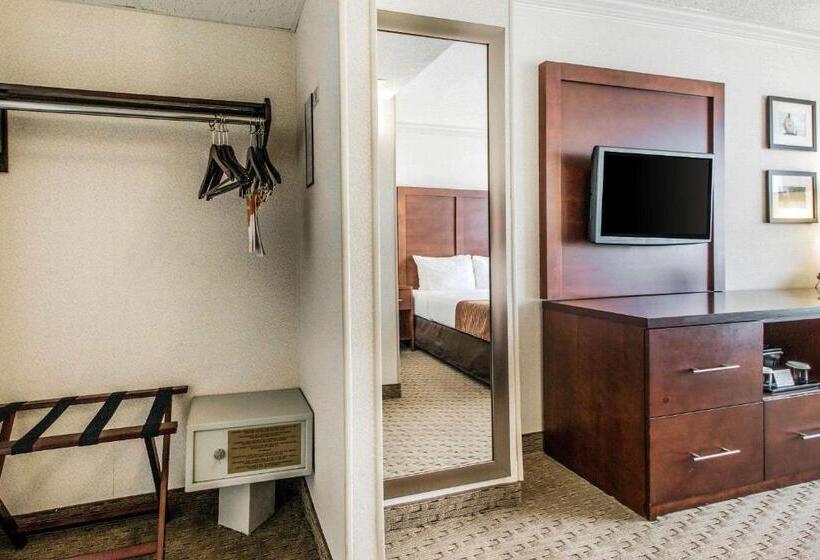 Habitació Estàndard Adaptada per a Discapacitats, Comfort Inn By The Bay
