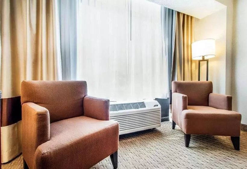 身障者適用スイートルーム, Comfort Inn By The Bay