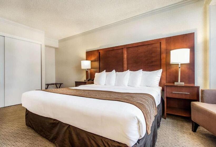 סוויטה מותאמת לאדם עם מוגבלויות, Comfort Inn By The Bay