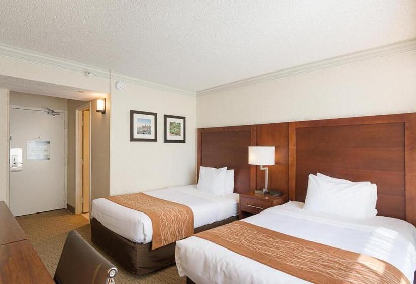 חדר סטנדרט, Comfort Inn By The Bay