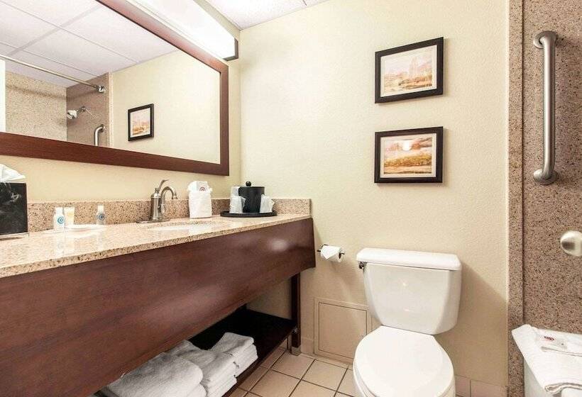 Люкс, Comfort Inn & Suites Omaha Central
