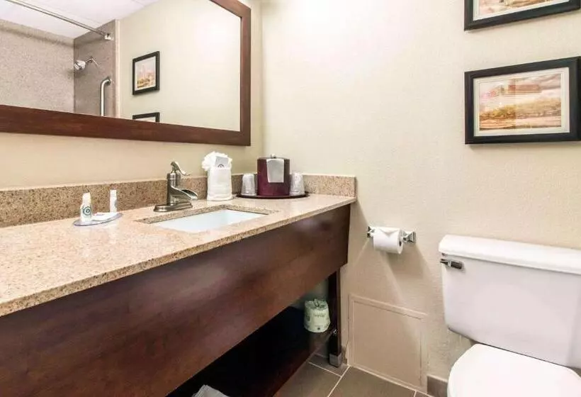 اتاق استاندارد با تخت بزرگ, Comfort Inn & Suites Omaha Central