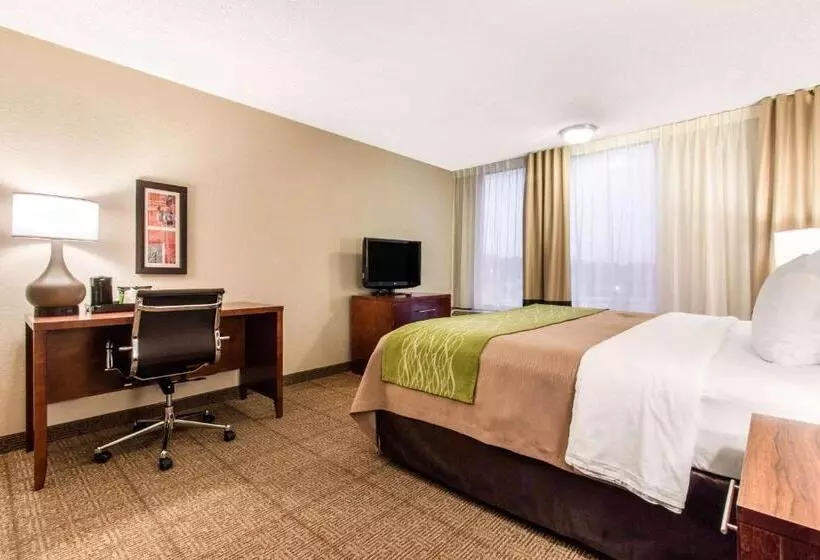 اتاق استاندارد با تخت بزرگ, Comfort Inn & Suites Omaha Central