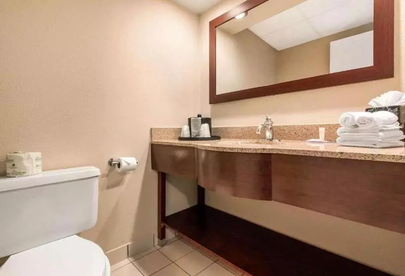 اتاق استاندارد با تخت بزرگ, Comfort Inn & Suites Omaha Central