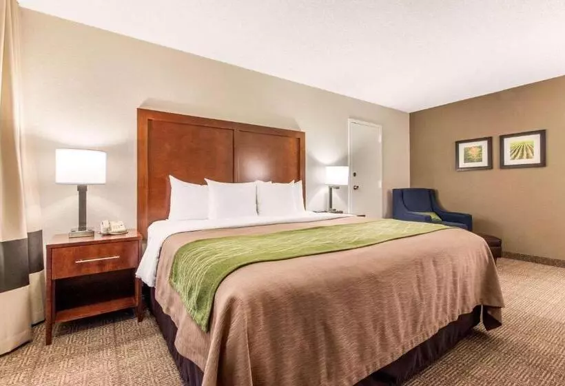 اتاق استاندارد با تخت بزرگ, Comfort Inn & Suites Omaha Central