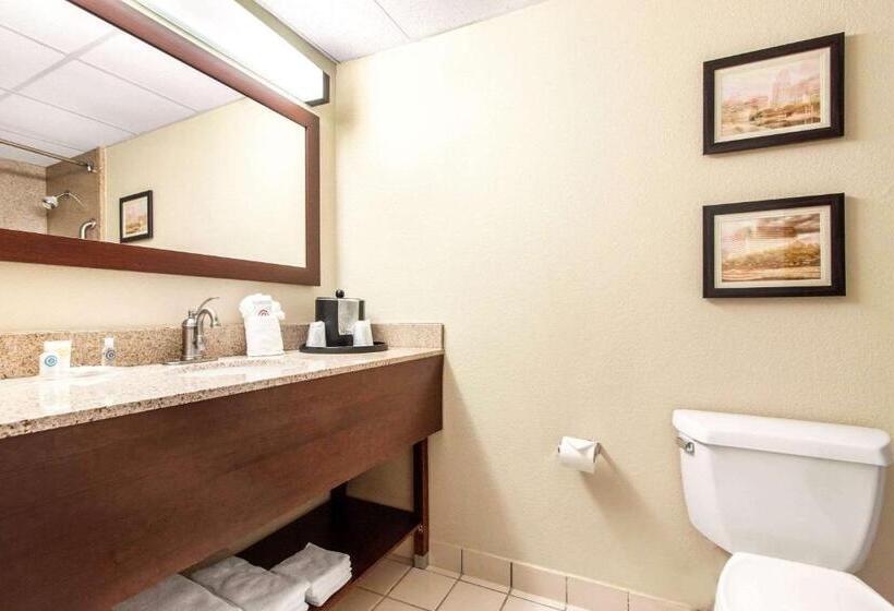 Стандартный Номер Кровать Кинг, Comfort Inn & Suites Omaha Central