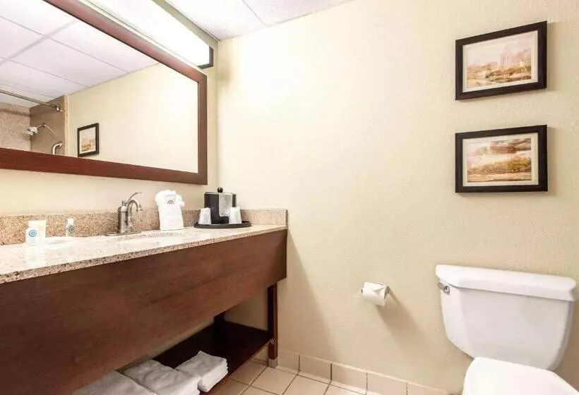 اتاق استاندارد با تخت بزرگ, Comfort Inn & Suites Omaha Central
