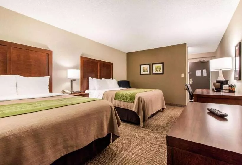 اتاق استاندارد, Comfort Inn & Suites Omaha Central