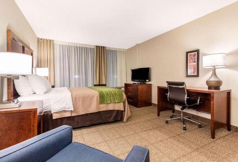 Люкс, Comfort Inn & Suites Omaha Central
