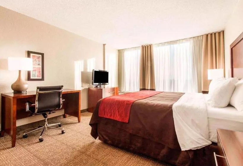 سوئیت با تخت بزرگ, Comfort Inn & Suites Omaha Central