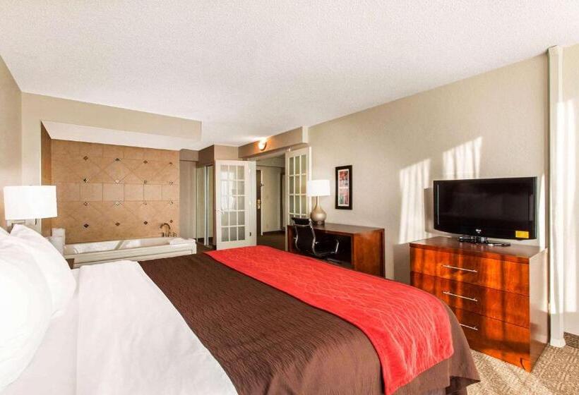Люкс Кровать Кинг, Comfort Inn & Suites Omaha Central