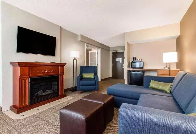 سوئیت با تخت بزرگ, Comfort Inn & Suites Omaha Central