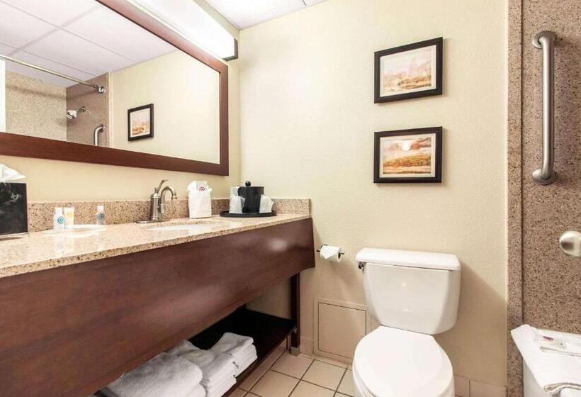 Люкс, Comfort Inn & Suites Omaha Central