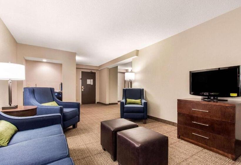 带大床的套房, Comfort Inn & Suites Omaha Central