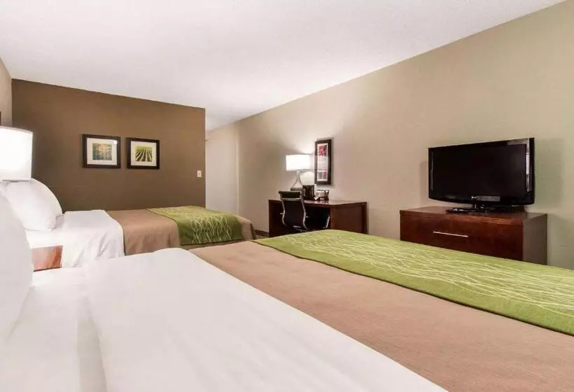 اتاق استاندارد برای معلولان, Comfort Inn & Suites Omaha Central