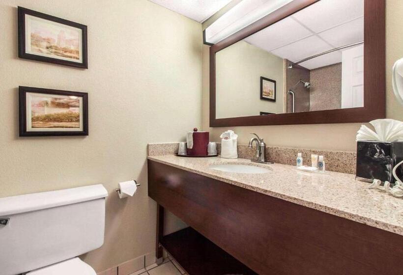 带大床的套房, Comfort Inn & Suites Omaha Central