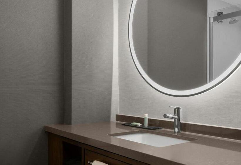 غرفة قياسية سرير كينج لذوى الإحتياجات الخاصة, Courtyard San Jose Airport