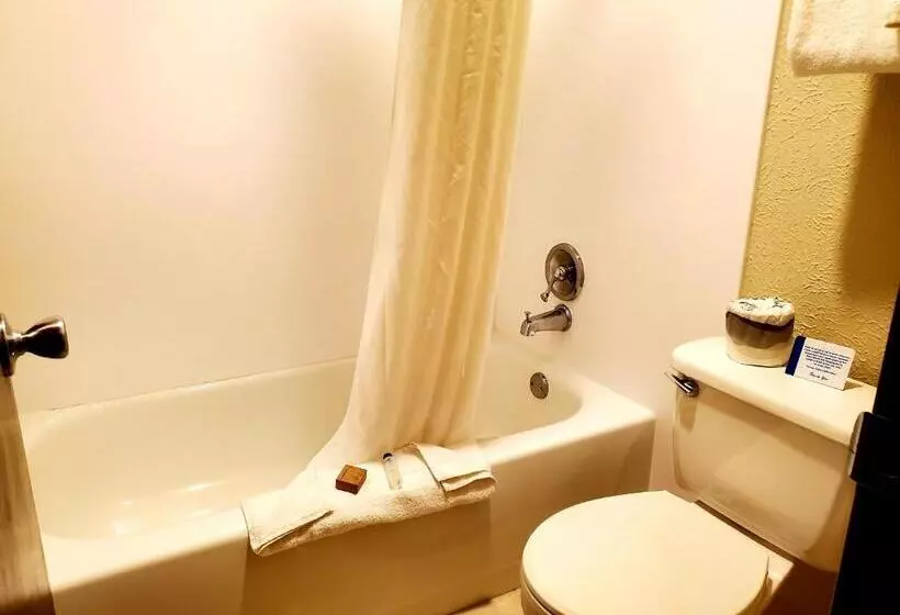 اتاق لوکس با تخت بزرگ, Days Inn And Suites By Wyndham Downtown Missoulauniversity