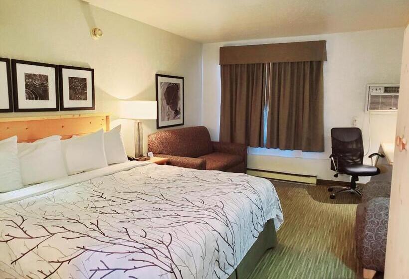 اتاق لوکس با تخت بزرگ, Days Inn And Suites By Wyndham Downtown Missoulauniversity