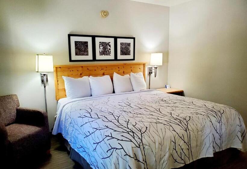 اتاق استاندارد با تخت بزرگ, Days Inn And Suites By Wyndham Downtown Missoulauniversity