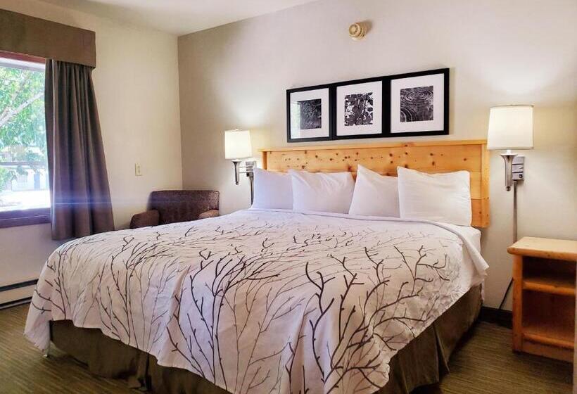 اتاق استاندارد با تخت بزرگ, Days Inn And Suites By Wyndham Downtown Missoulauniversity