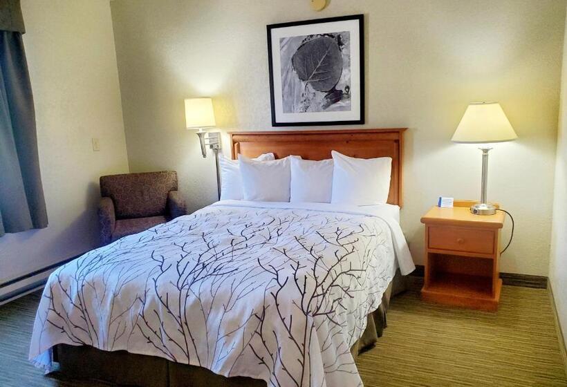 استودیوی استاندارد, Days Inn And Suites By Wyndham Downtown Missoulauniversity