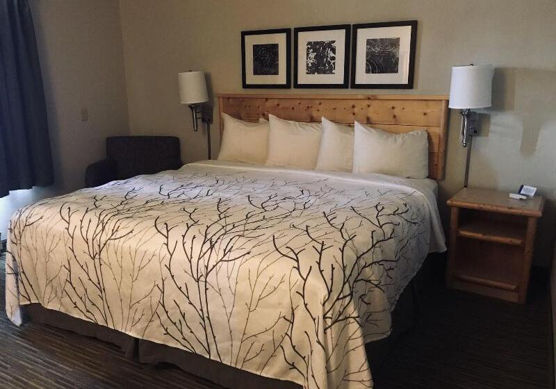 اتاق استاندارد با تخت بزرگ, Days Inn And Suites By Wyndham Downtown Missoulauniversity