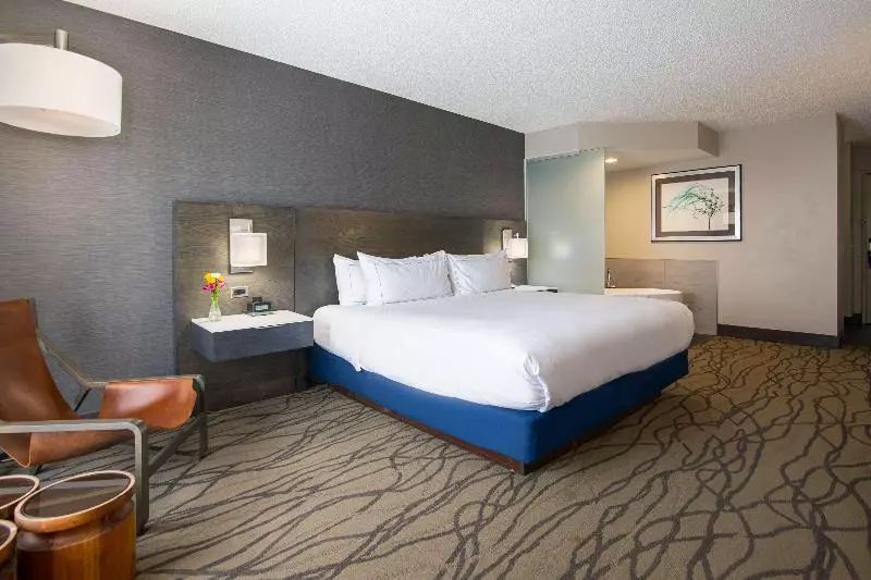 シングルデラックスルーム, Doubletree By Hilton Hotel Racine Harbourwalk