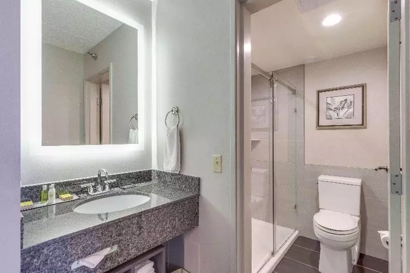キングサイズベッドのスタンダードルーム, Doubletree By Hilton Hotel Racine Harbourwalk