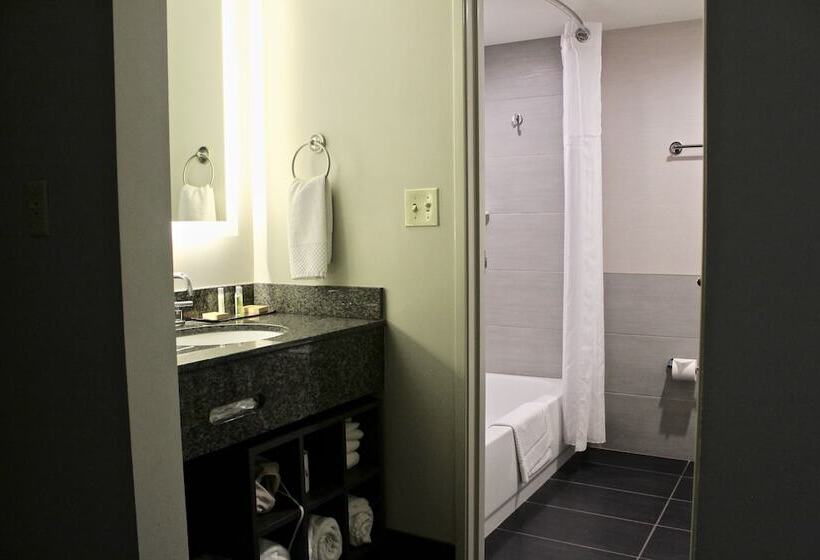 Номер Стандарт 2 Двуспальные Кровати, Doubletree By Hilton Hotel Racine Harbourwalk