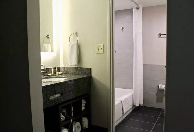 ２ダブルベッドのスタンダードルーム, Doubletree By Hilton Hotel Racine Harbourwalk