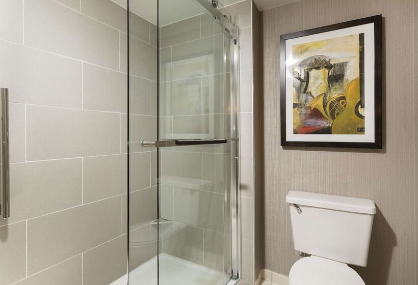 Люкс, Doubletree Suites By Hilton Nashville Airport