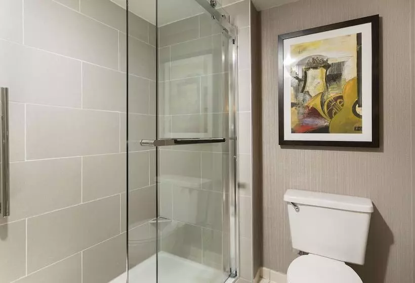 سوییت, Doubletree Suites By Hilton Nashville Airport