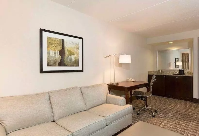 سوییت, Doubletree Suites By Hilton Nashville Airport