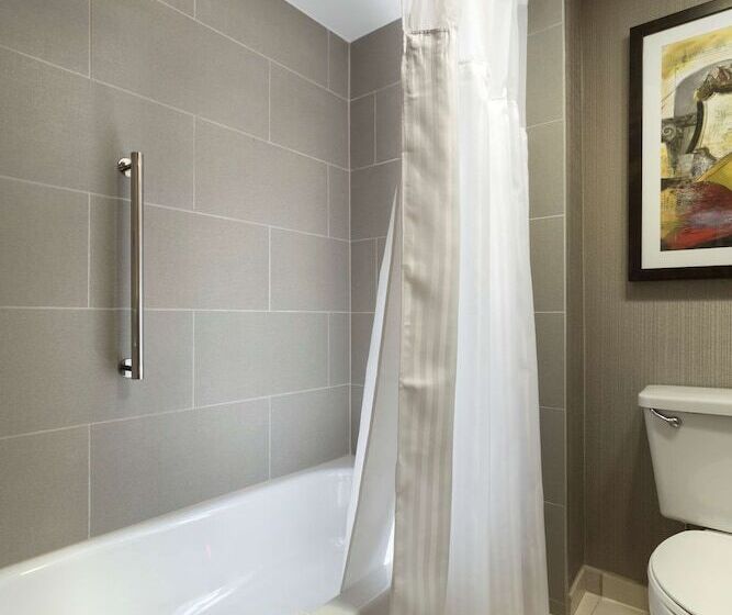 سوییت, Doubletree Suites By Hilton Nashville Airport