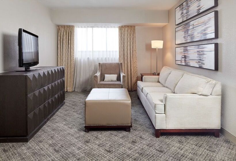 سوییت, Doubletree Suites By Hilton Nashville Airport