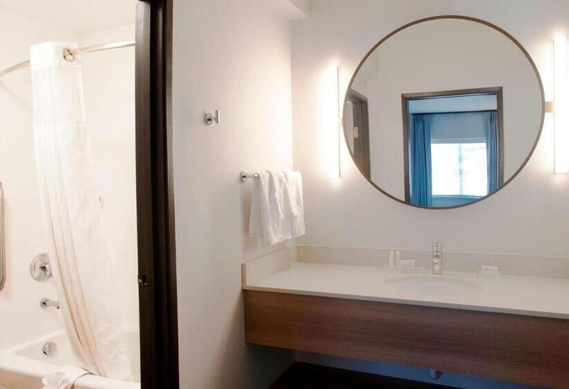 غرفة قياسية سرير ملكى, Fairfield Inn & Suites By Marriott Spokane Valley