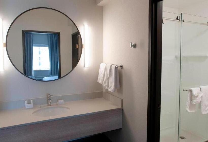 جناح إدارى سرير كينج, Fairfield Inn & Suites By Marriott Spokane Valley