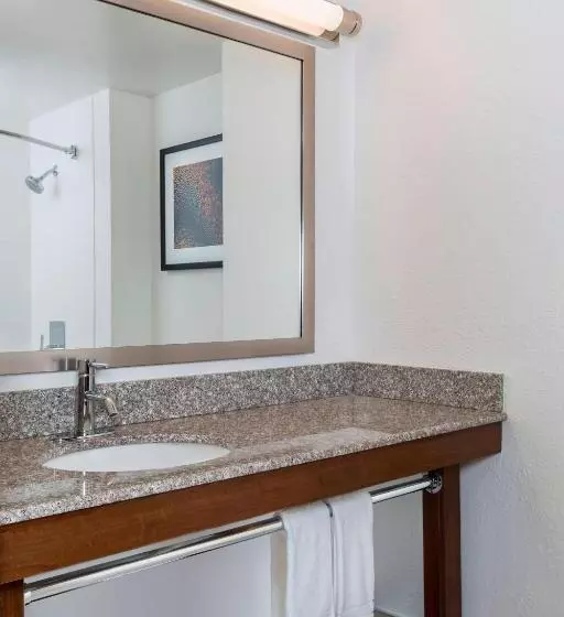 キングサイズベッドのスタンダードルーム, Four Points By Sheraton Milwaukee Airport