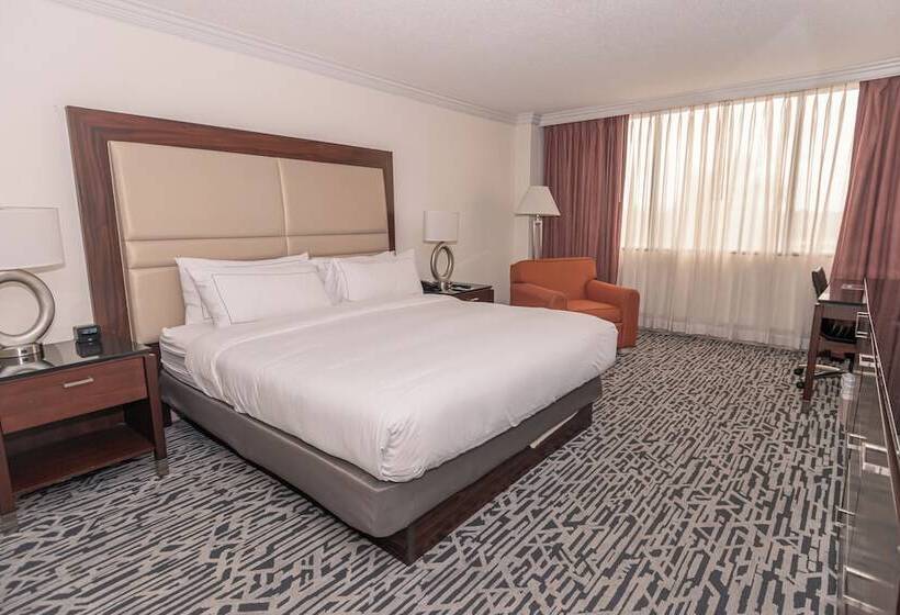 Superior Oda, Hilton Palm Beach Pbi