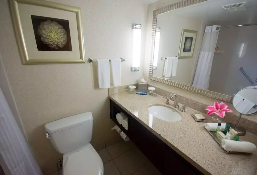 Executive-sviitti, Hilton Palm Beach Pbi