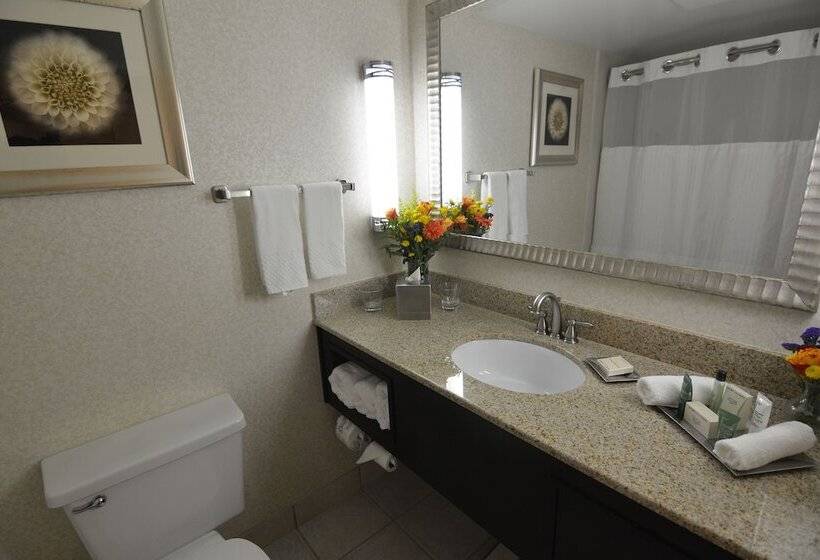 Executive Süit, Hilton Palm Beach Pbi