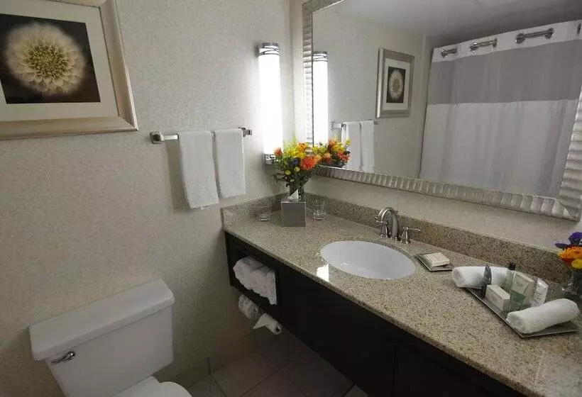 Executive-sviitti, Hilton Palm Beach Pbi
