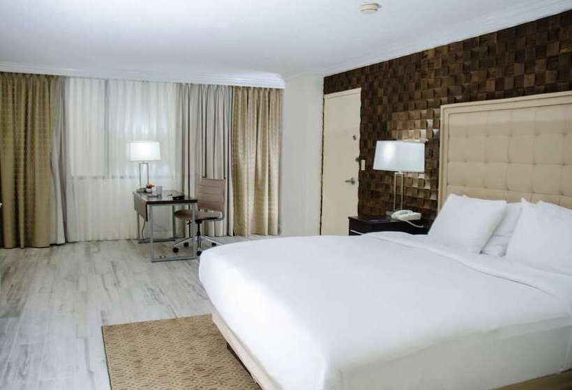 Executive Süit, Hilton Palm Beach Pbi