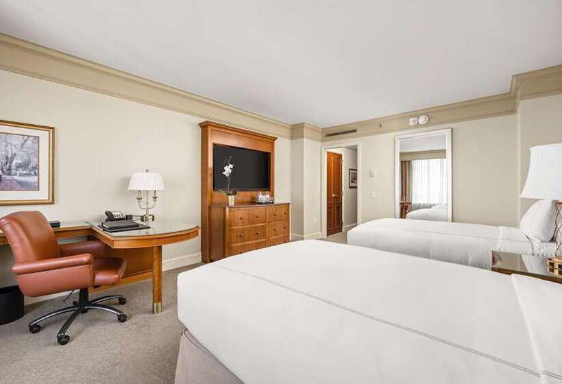 Superior Oda, Hilton Palm Beach Pbi