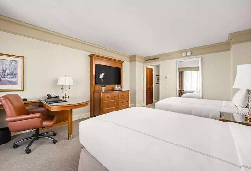 Superior-huone, Hilton Palm Beach Pbi