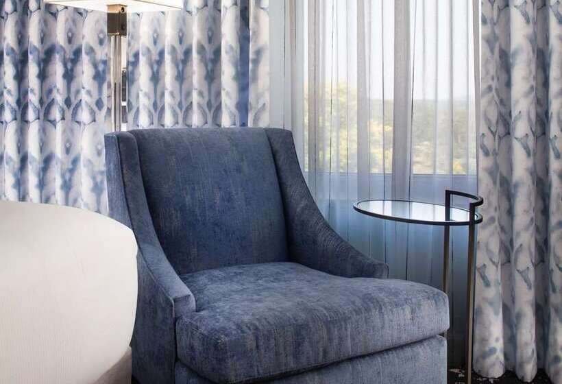 Engelliler için Standart Oda, Hilton Palm Beach Pbi