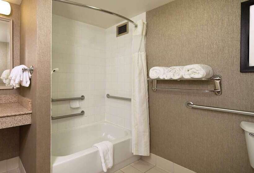 Standart Oda, Hilton Palm Beach Pbi