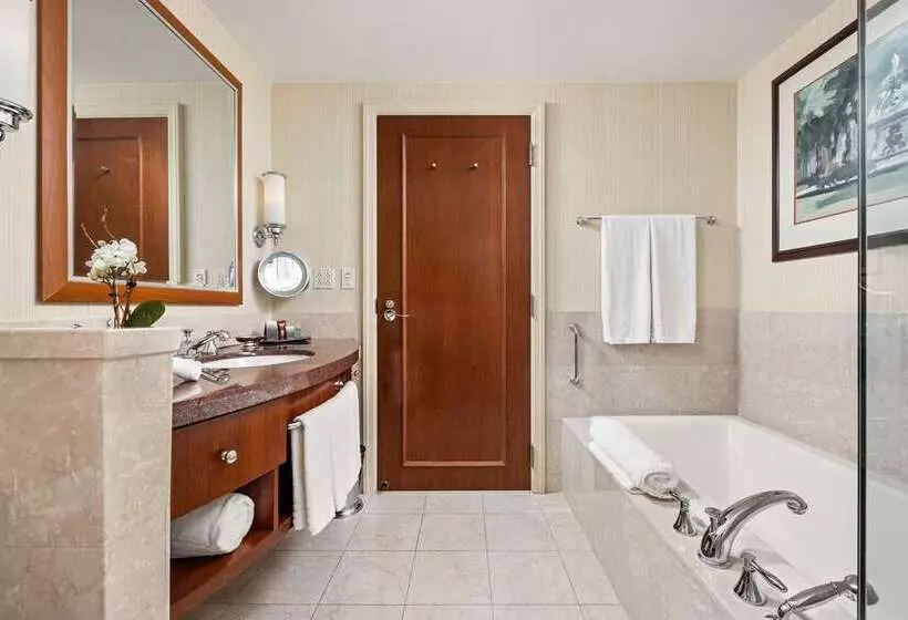 Superior-huone, Hilton Palm Beach Pbi