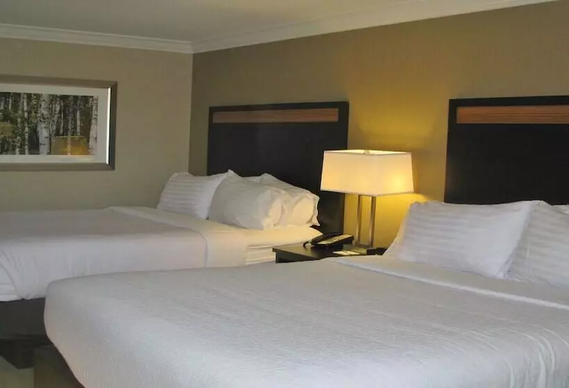 ２ダブルベッドのスタンダードルーム, Holiday Inn Concord Downtown, An Ihg